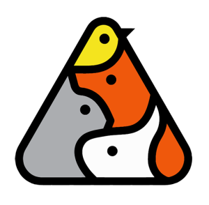 پتسی