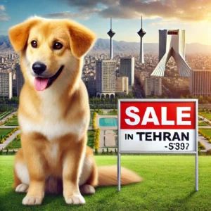 فروش سگ تهران