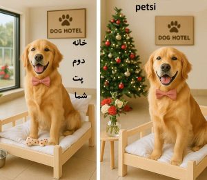 پانسیون سگ در تجریش