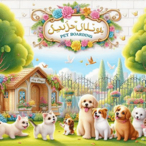 پانسیون سگ در جوادیه